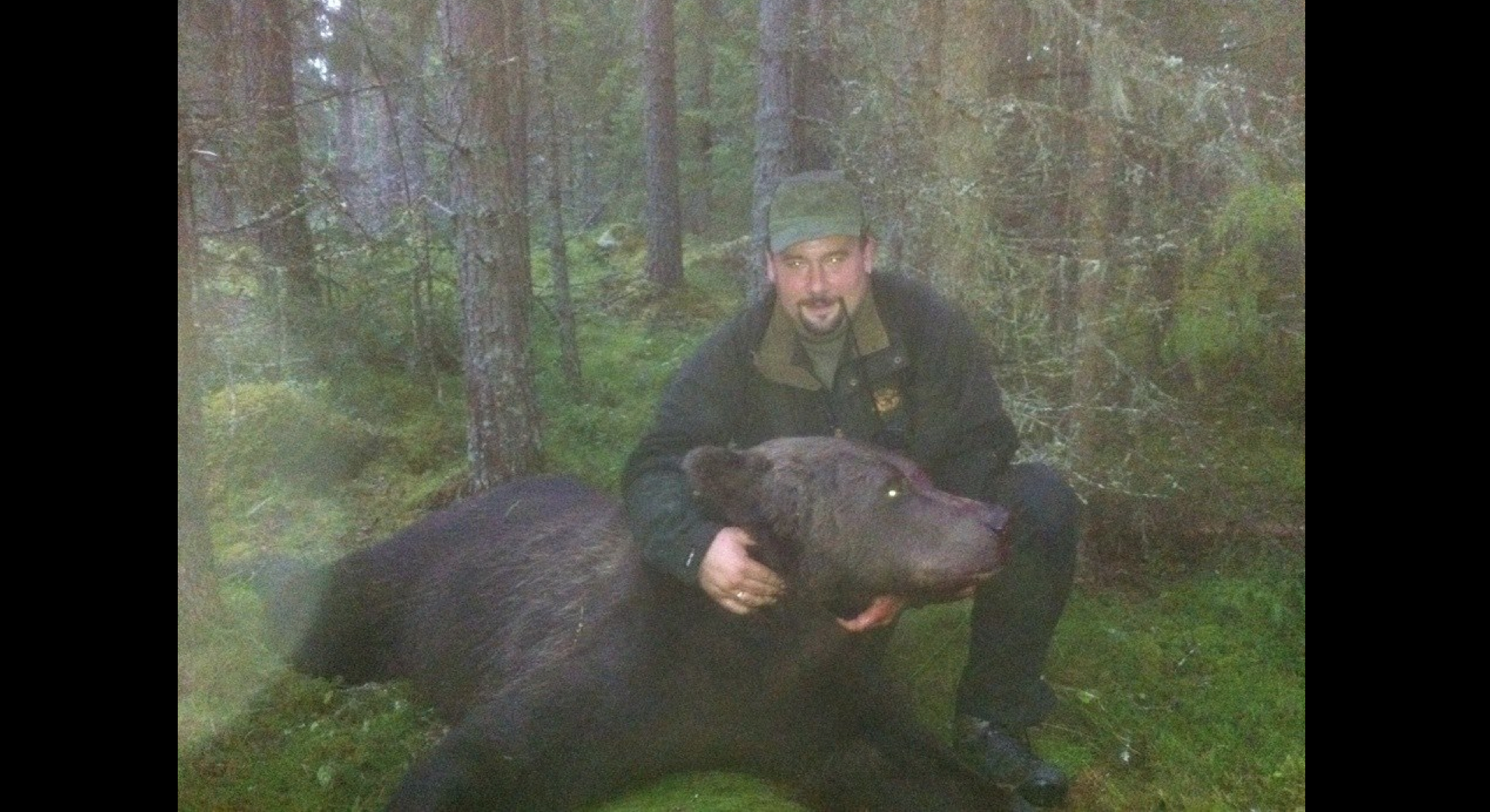 Björnjakt, Jakt, Björn, Orsa