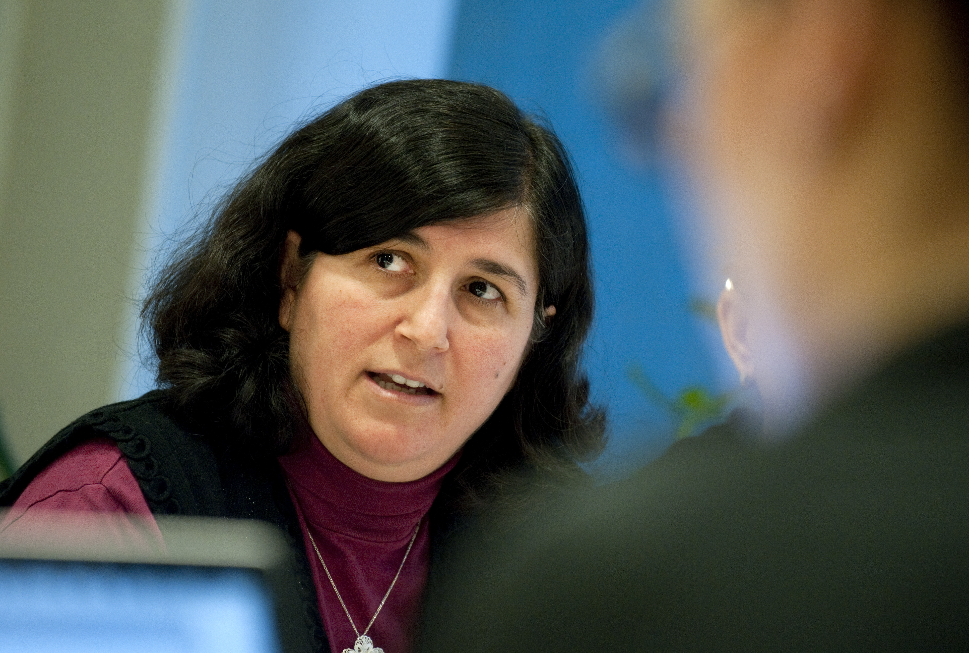 Nalin Pekgul, Moderaterna, Thomas Böhlmark