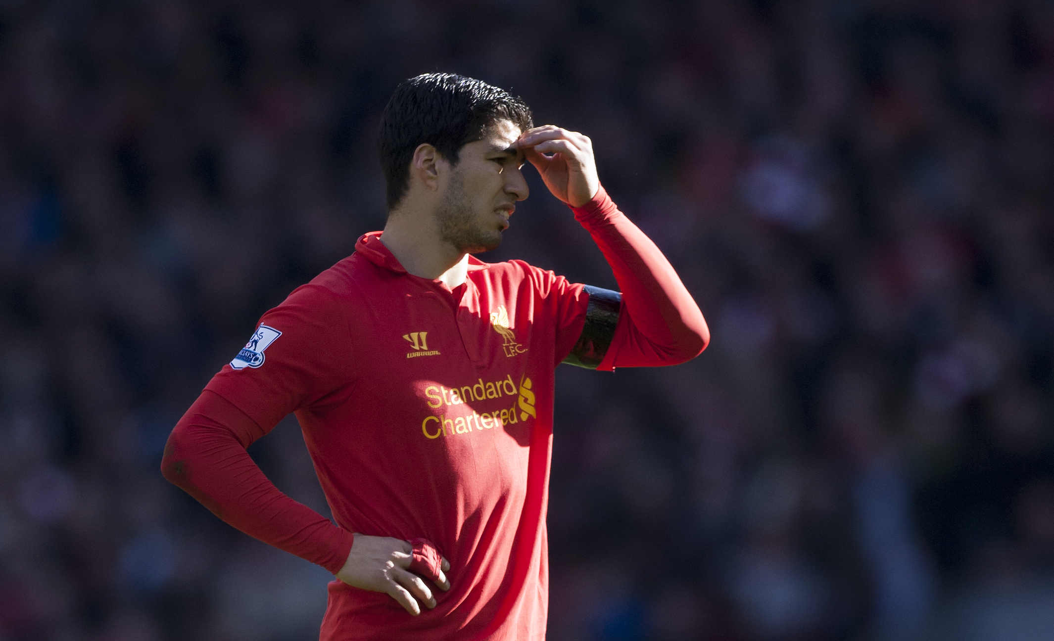 Premier League, Luis Suarez, Sport, Fotboll, Liverpool