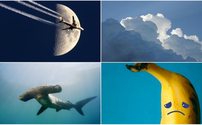 Forskning, Vetenskap, Quiz