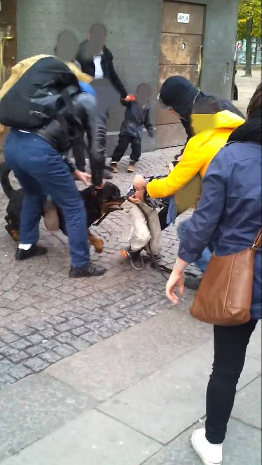 Rottweiler, Forbud, Attack,  Hundrädd, Hundägare