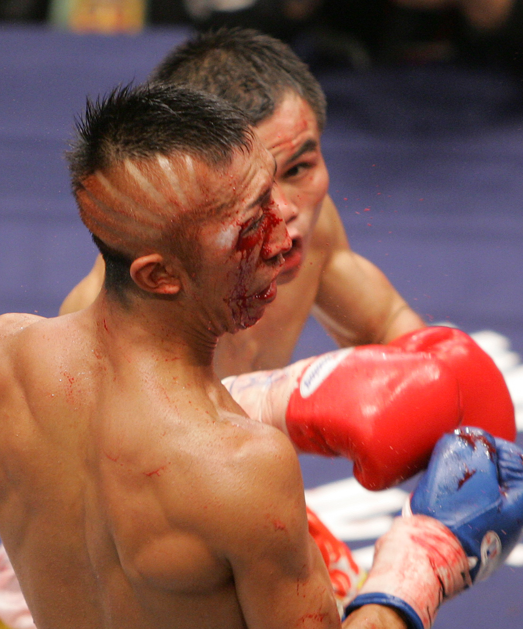 Vitali Klitjko, boxning, Sergio Martinez, WBC, Mikkel Kessler, Elio Rojas