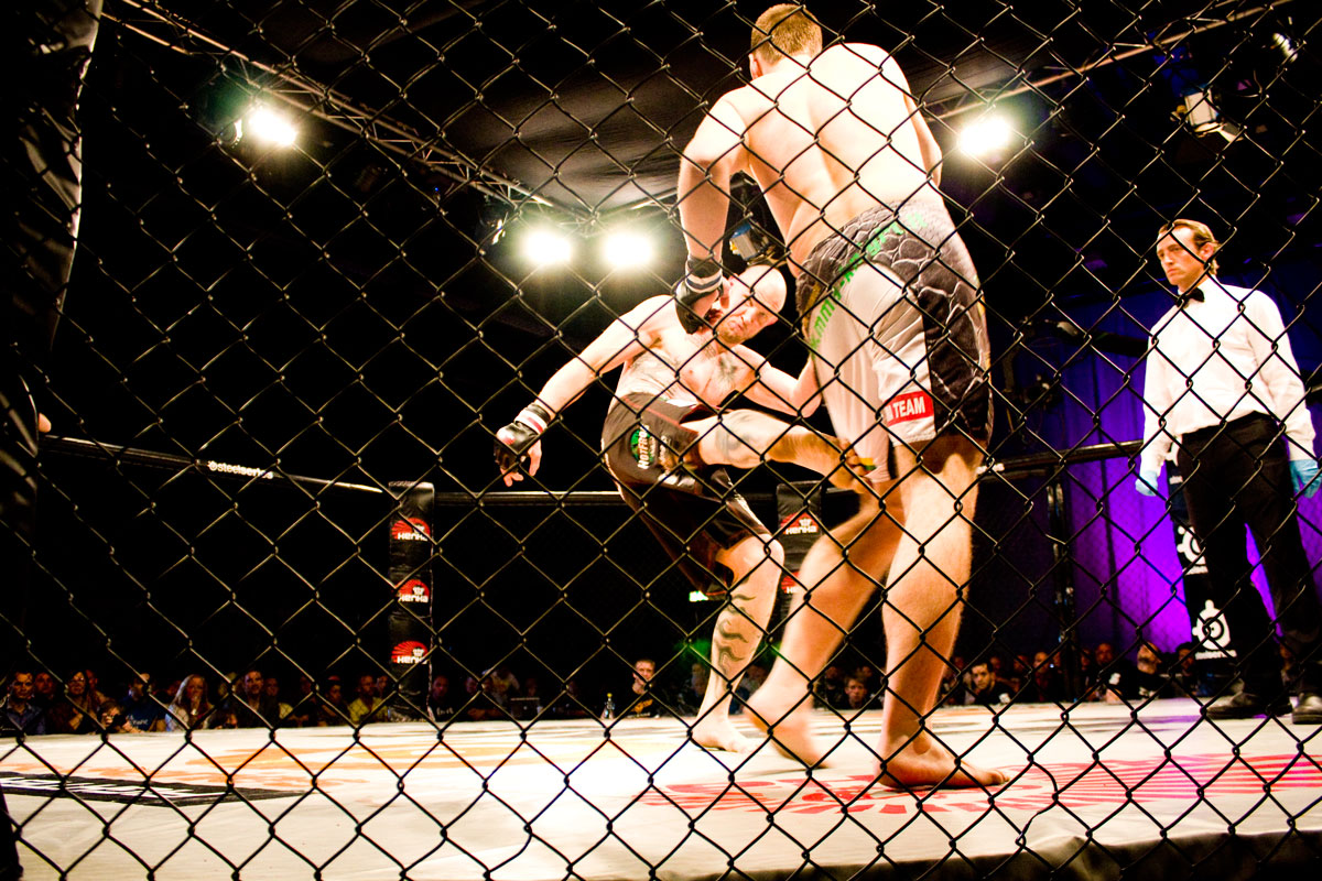 The Zone FC 9, Lisebergshallen, Besam Yousef, Martin Svensson, Victor Cheng, Hanna Sillén, Paul Reed, Elina Nilsson, MMA, Eddy Bengtsson, Goteborg