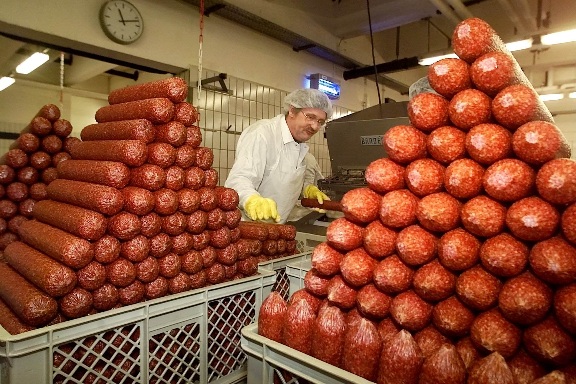 Framtid, Kott, Odlat, Konstgjort, Köttfabrik, Forskning, Vladimir Mironov