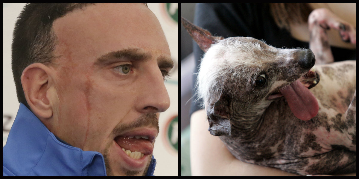 Dubbelgångare, Djur, Look-a-likes, Fotbollsspelare