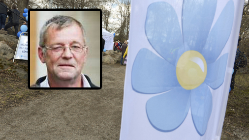 Thoralf Alfsson, Blogginlägg, Sverigedemokraterna, Burka, Borlänge, Misshandel, Kvinna, Christer Wikström