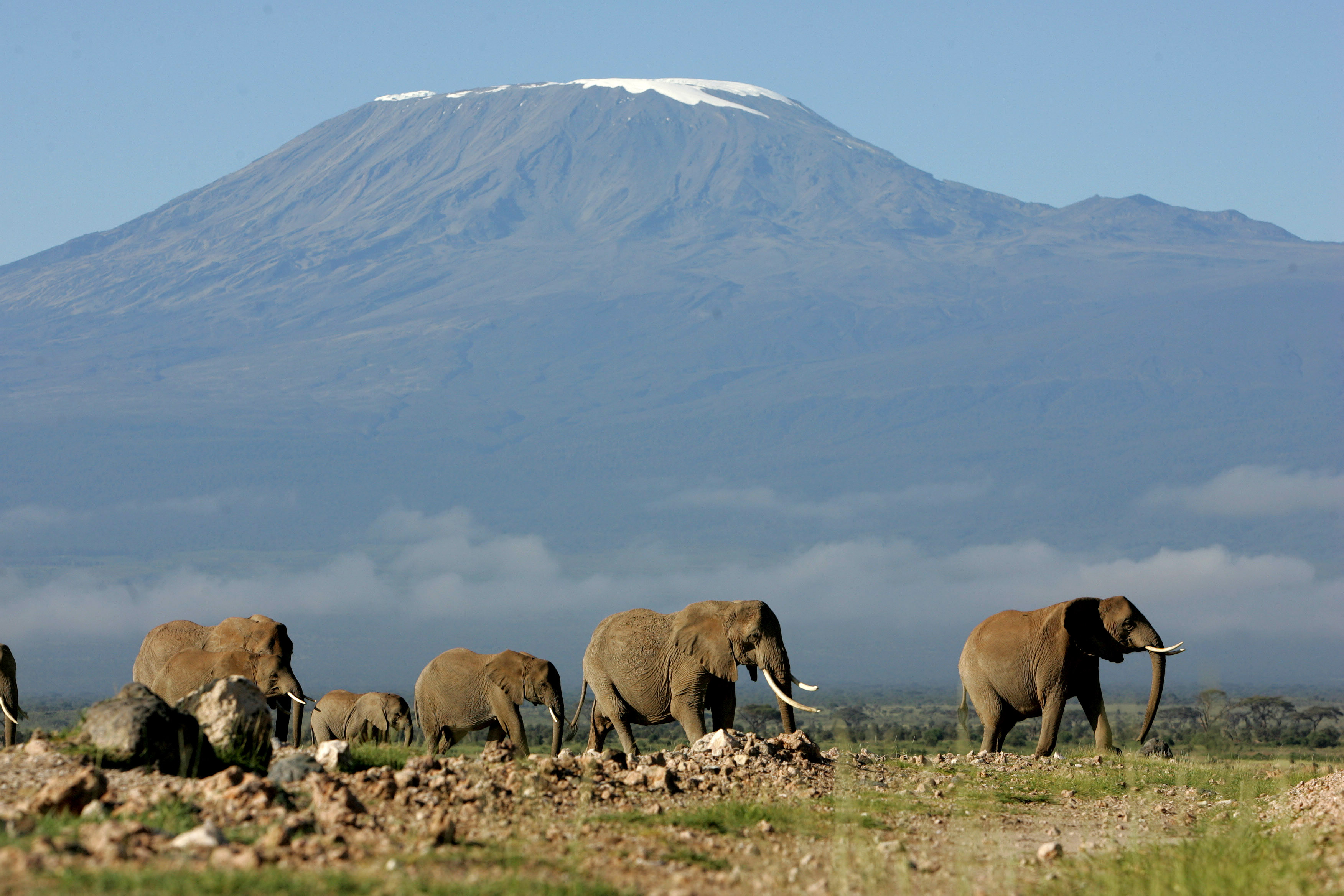 Klättring, Äventyr, Afrikas Högsta, Toppen, Berg, Bergsbestigare, Kilimanjaro, Spencer West, Video, Klättra