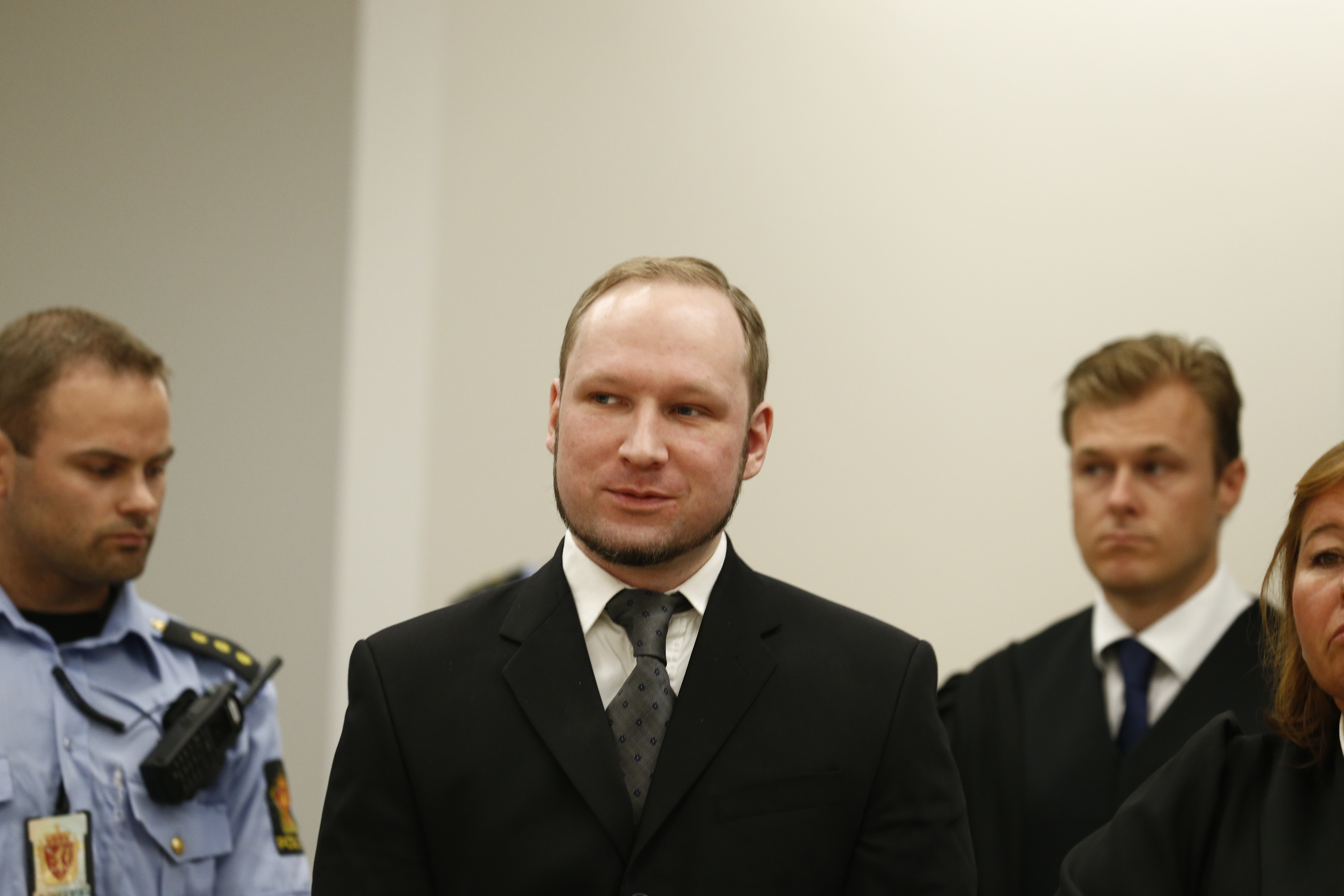 Flashback, Mästerkatten, Sverigedemokraterna,  Political soldier
