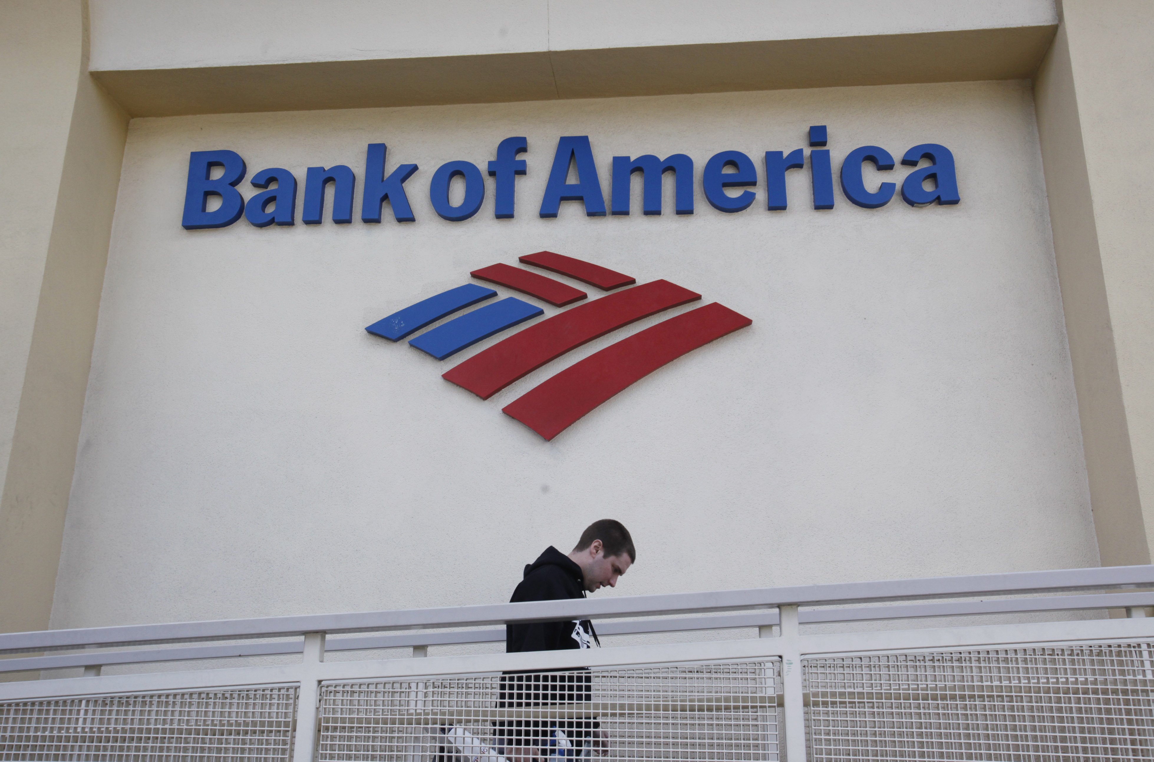 Wikileaks, Bank of America