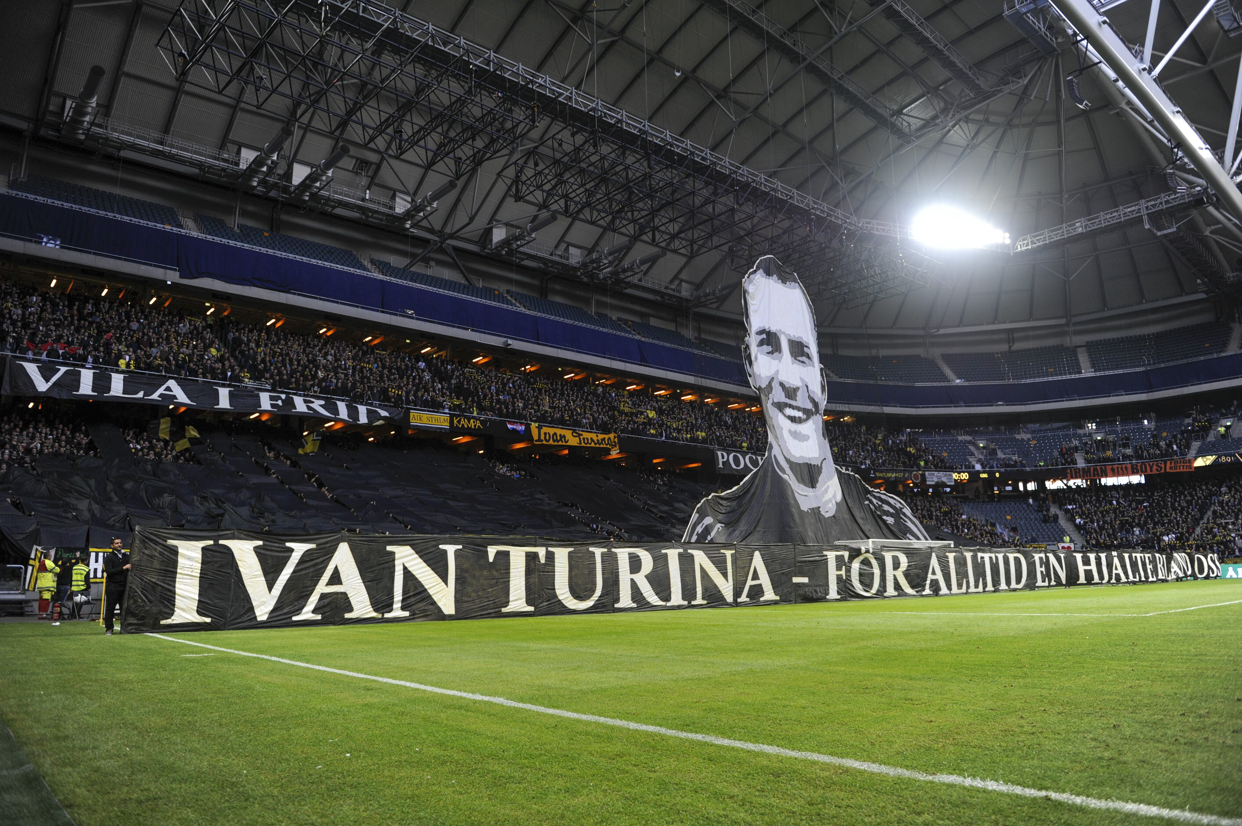 Nebojsa Novakovic, Ivan Turina, AIK, Dinamo Zagreb