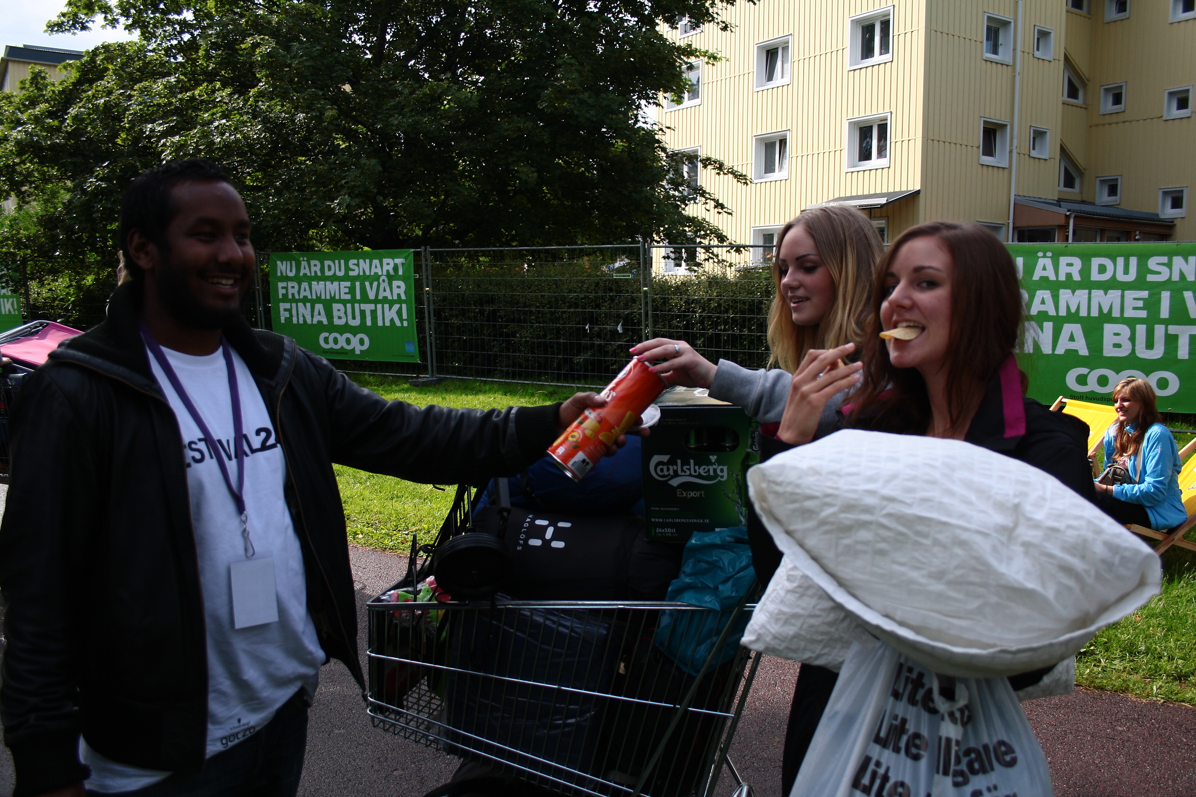 Peace & Love, Nyheter, Festival24