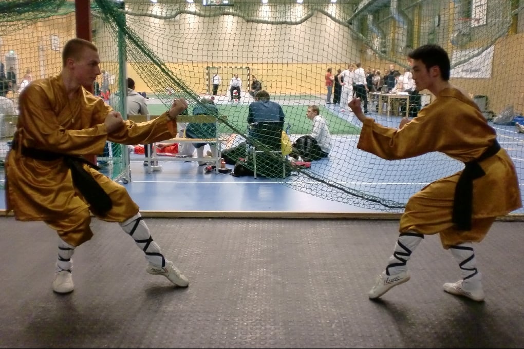 Sanshou, Talou, Wushu