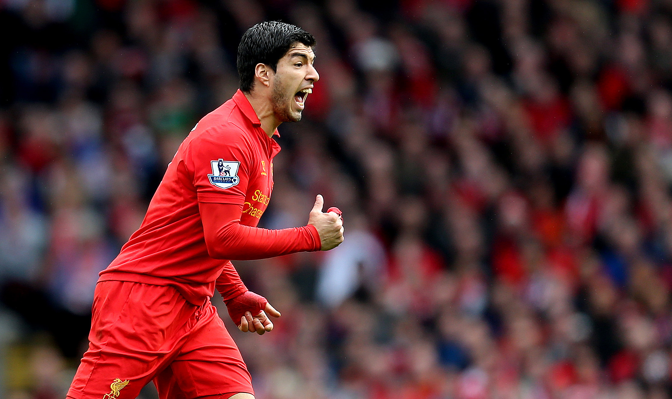 Gareth Bale, Robin van Persie, Luis Suarez, Premier League, Årets spelare