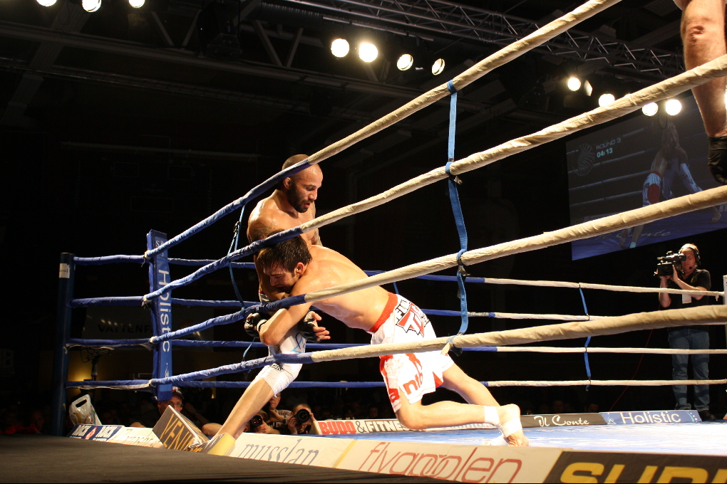 Hanna Sillen, Superior Challenge, Pride and Fury, Fryshuset, Reza Madadi, Junie Browning