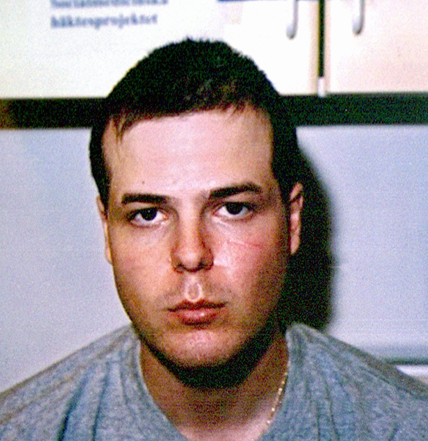 Anna Lindh, Skruvmejsel, Brott, Kriminalvården, Kumla, Kriminellt, Mijailo Mijailovic, Mijailo, Interner, mord, Kriminalitet, Kriminella, Anstalt, Fängelse, Polis