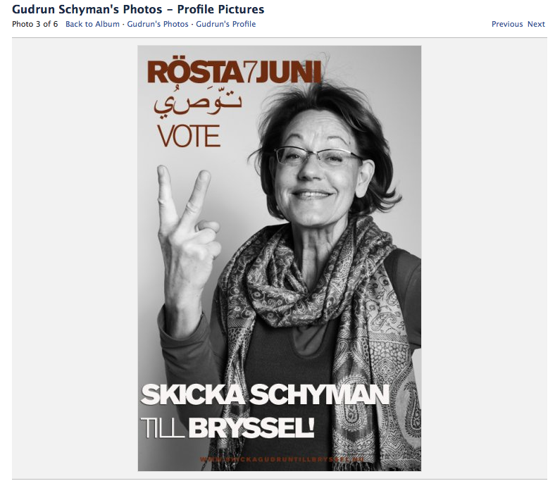 Birgitta Ohlsson, Göran Hägglund, Profilbild, Håkan Juholt, Gudrun Schyman, Makeover, Tobias Krantz, Fredrik Reinfeldt, Maria Wetterstrand, Per Schlingmann, Alliansen, Moderaterna, Facebook, Henrik Alexandersson, Val 2010