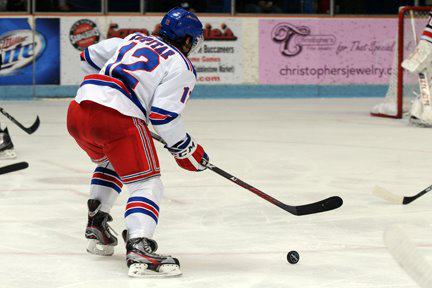 nhl, Anze Kopitar, Hockey, Los Angeles Kings, Stanley Cup, Gasper Kopitar