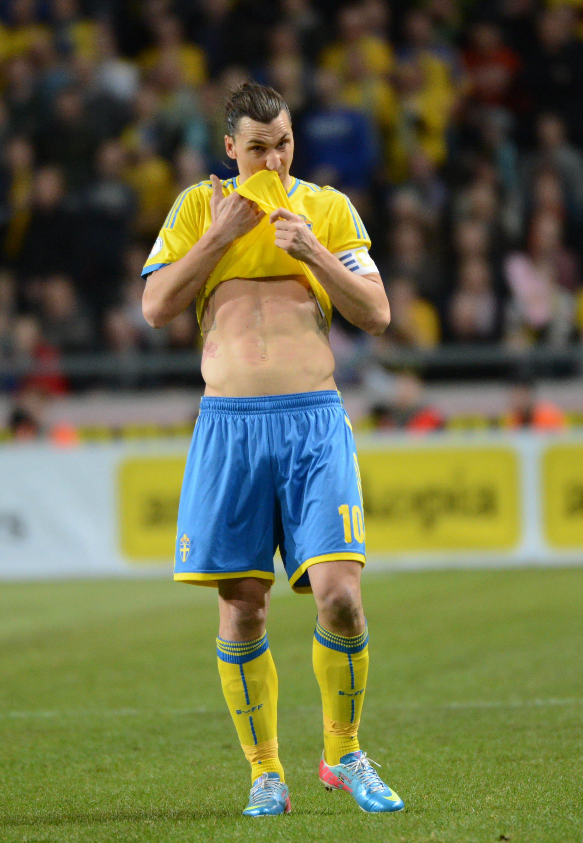 Landslaget, Zlatan Ibrahimovic, Erkan Zengin, Erik Hamrén