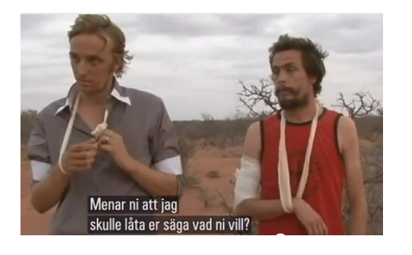 Etiopien, Johan Persson, Martin Schibbye, SVT