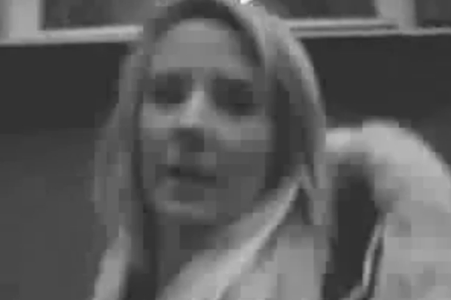 Kissie, Peter08, Nationalsocialistisk Front, Janne Josefsson, Nazism, Aaron Israelson, SVT, Peter Nilsson, Alexandra Nilsson, NSF, Nazister, Blogg, Bloggare, SVT Debatt