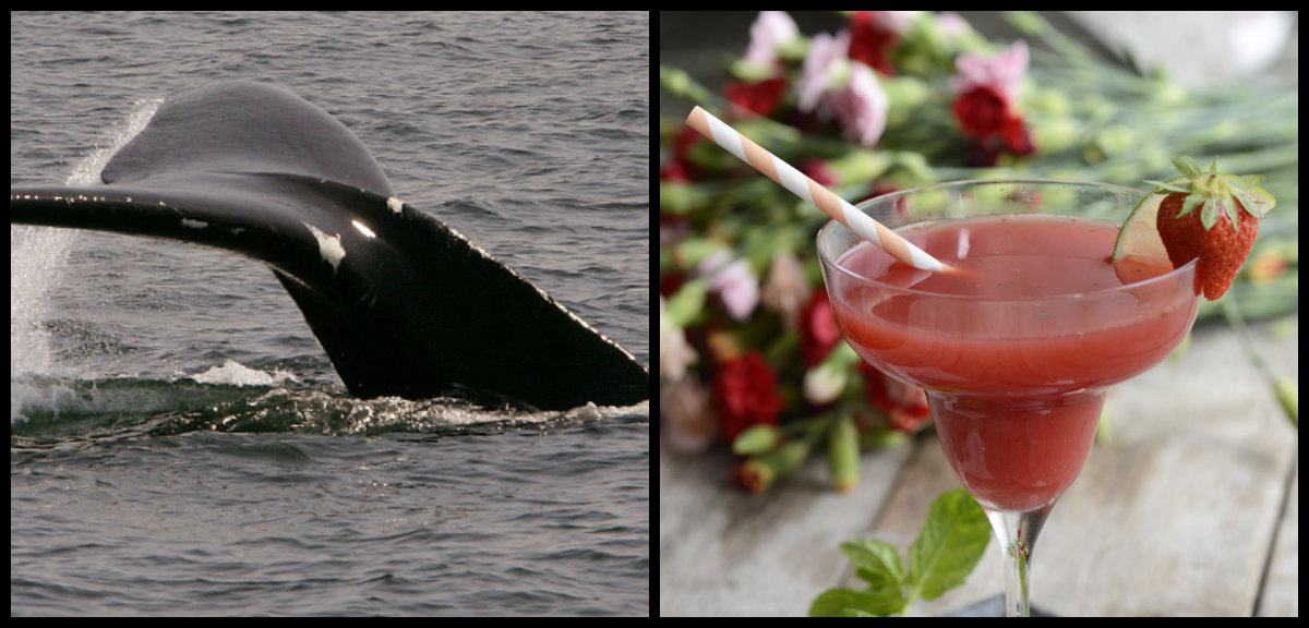 London, olagligt, Valar, Drink