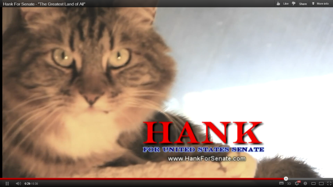 Hank, Katt, Senaten, Virginia