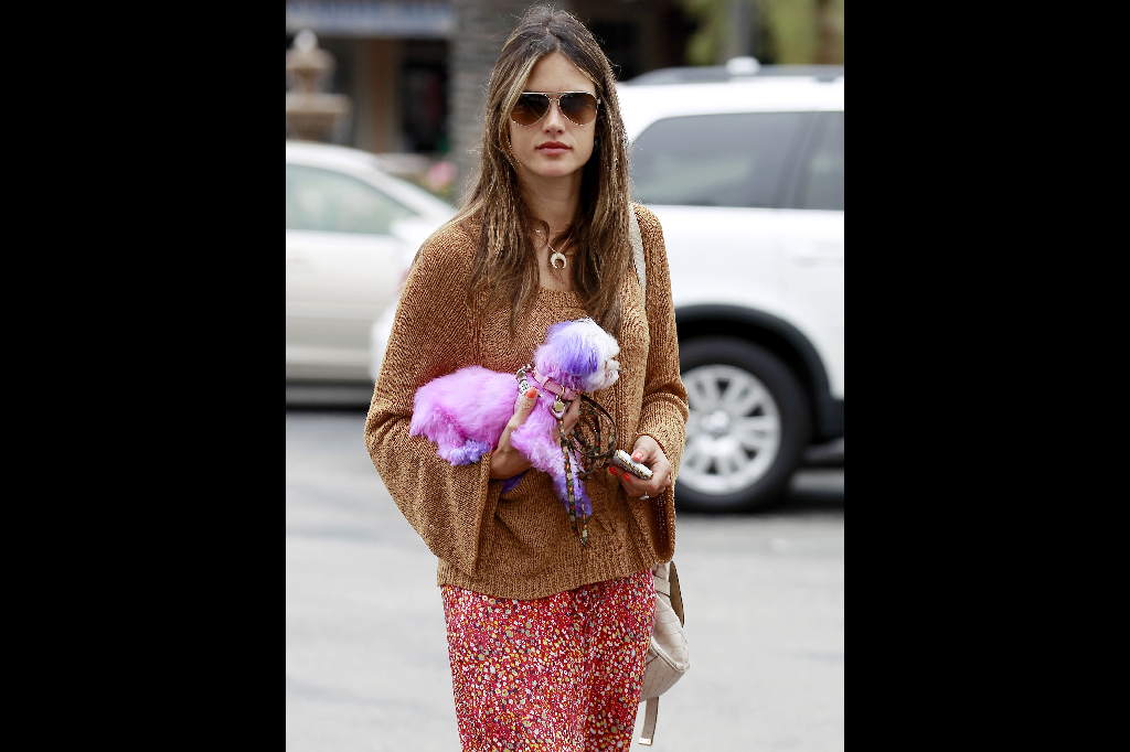 Hund, Hollywood, Victorias Secret, Mode, Jamie Mazur, kändis, Alessandra Ambrosio