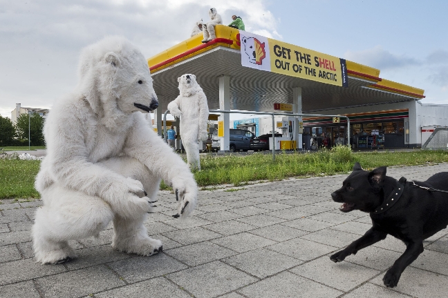 ST, Greenpeace, Arktis, Aktion, Protest, Shell
