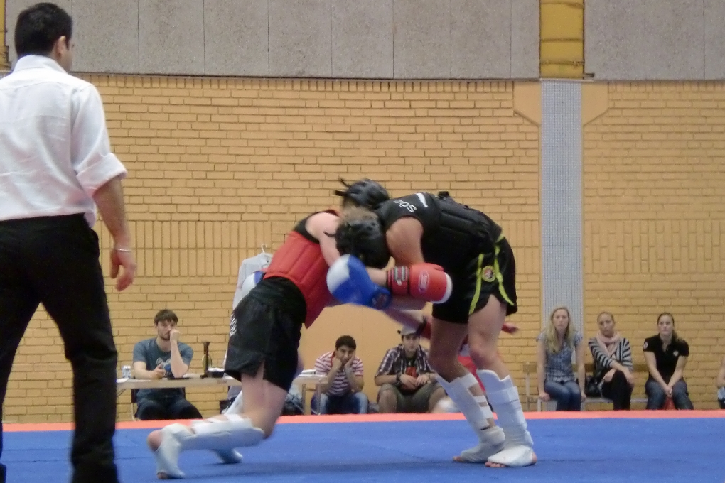 Sanshou, Talou, Wushu