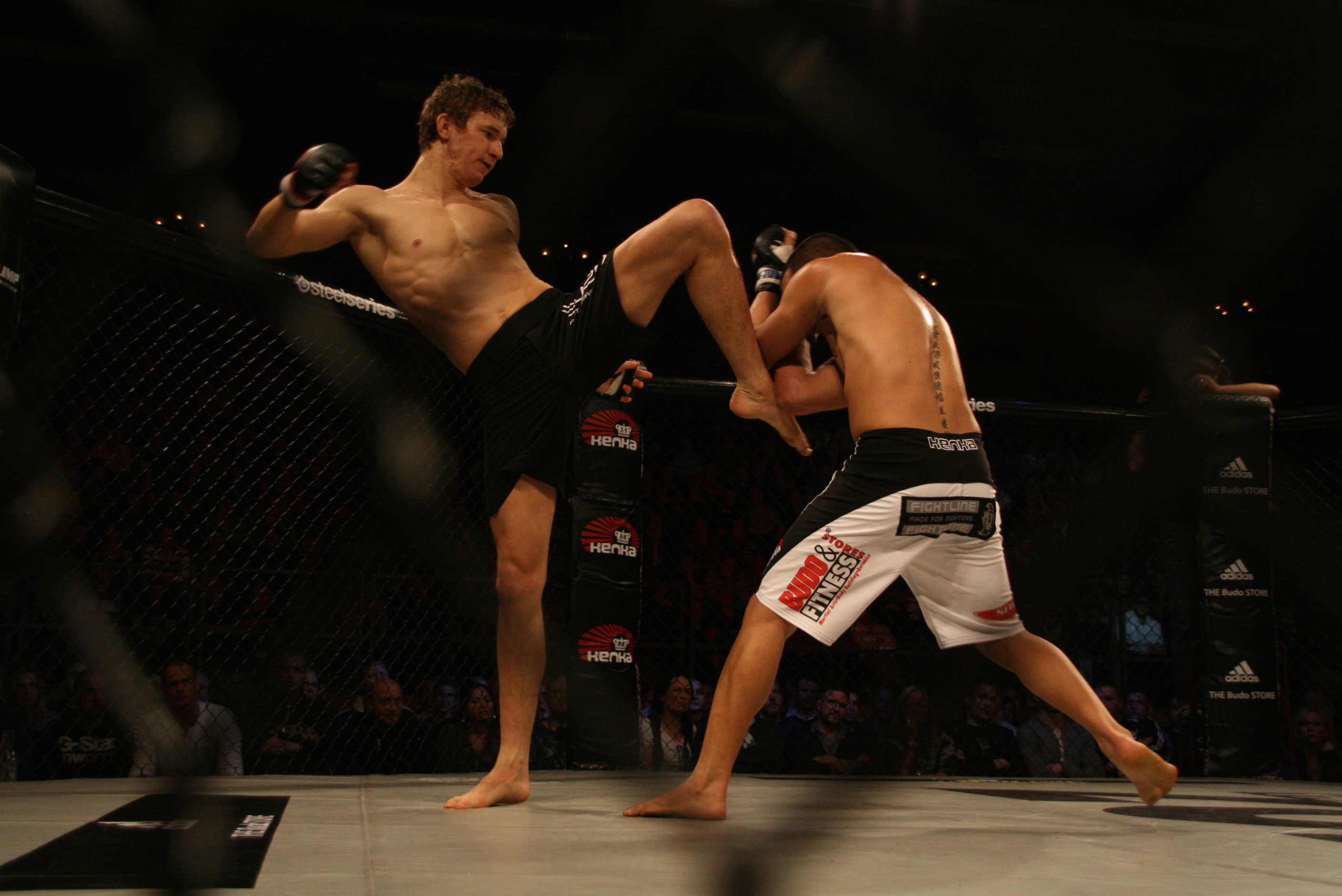 Victor Cheng, Hanna Sillén, The Zone FC, Martin Svensson, Goteborg, Besam Yousef, Lisebergshallen, MMA, Elina Nilsson, The Zone FC 9, Paul Reed