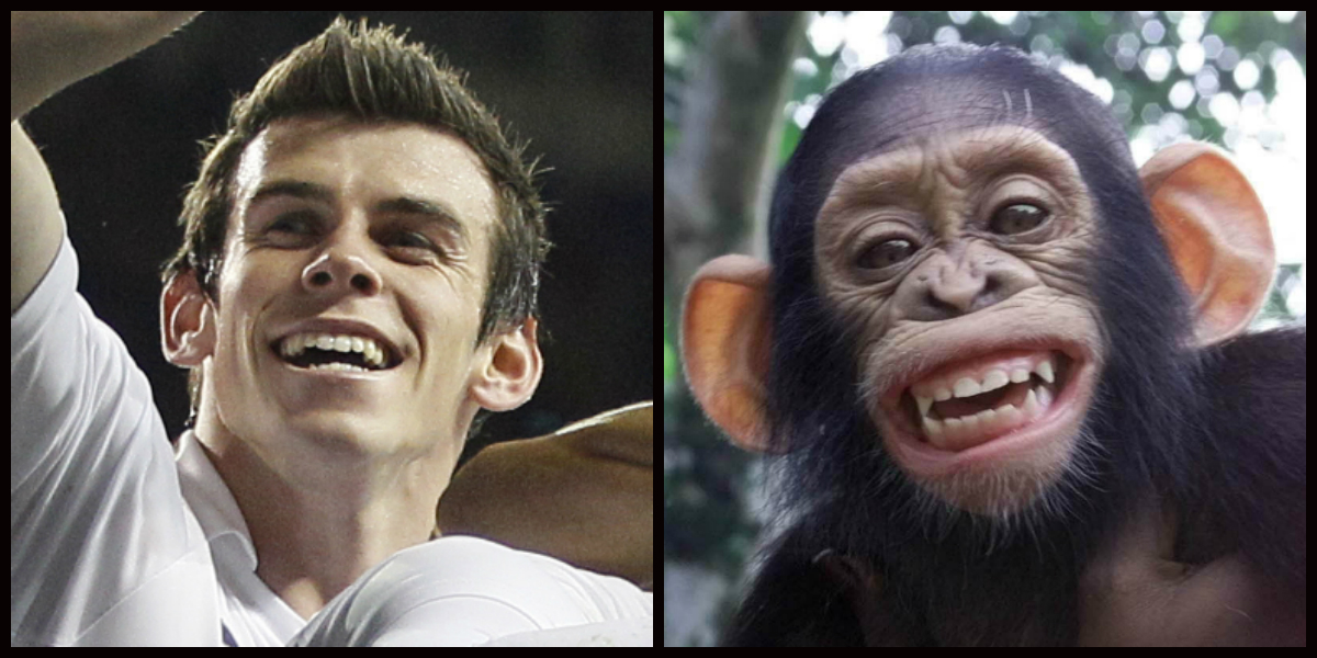 Fotbollsspelare, Look-a-likes, Dubbelgångare, Djur