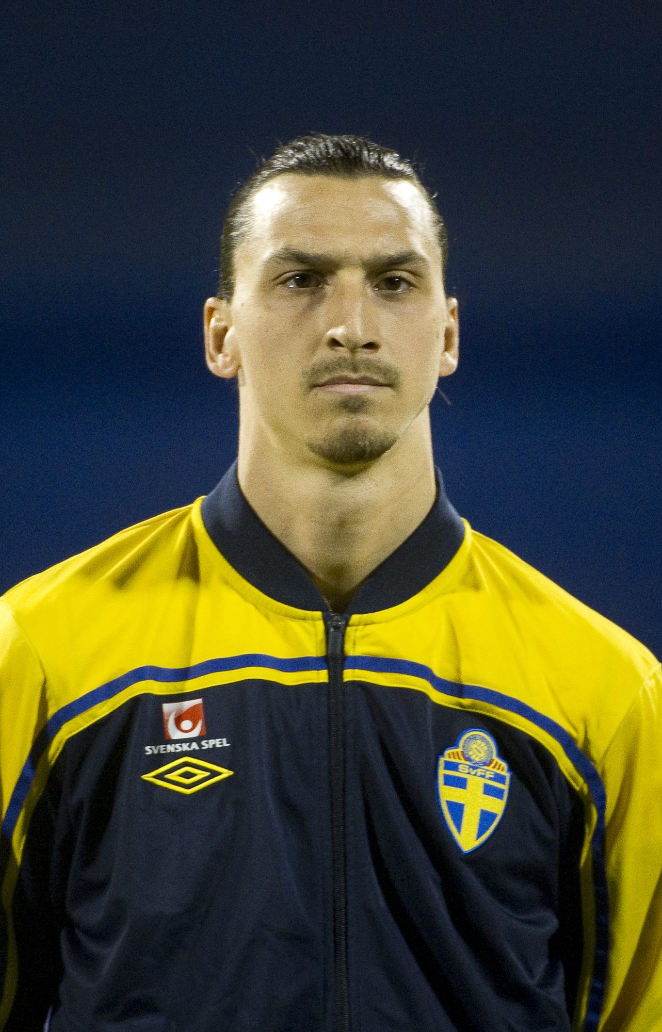 Adem Ljajic, Zlatan Ibrahimovic, EM i korthet, Fotboll, Erik Hamrén, EM24, Zlatan, EM, Sverige, Fotbolls-EM, EM 2012