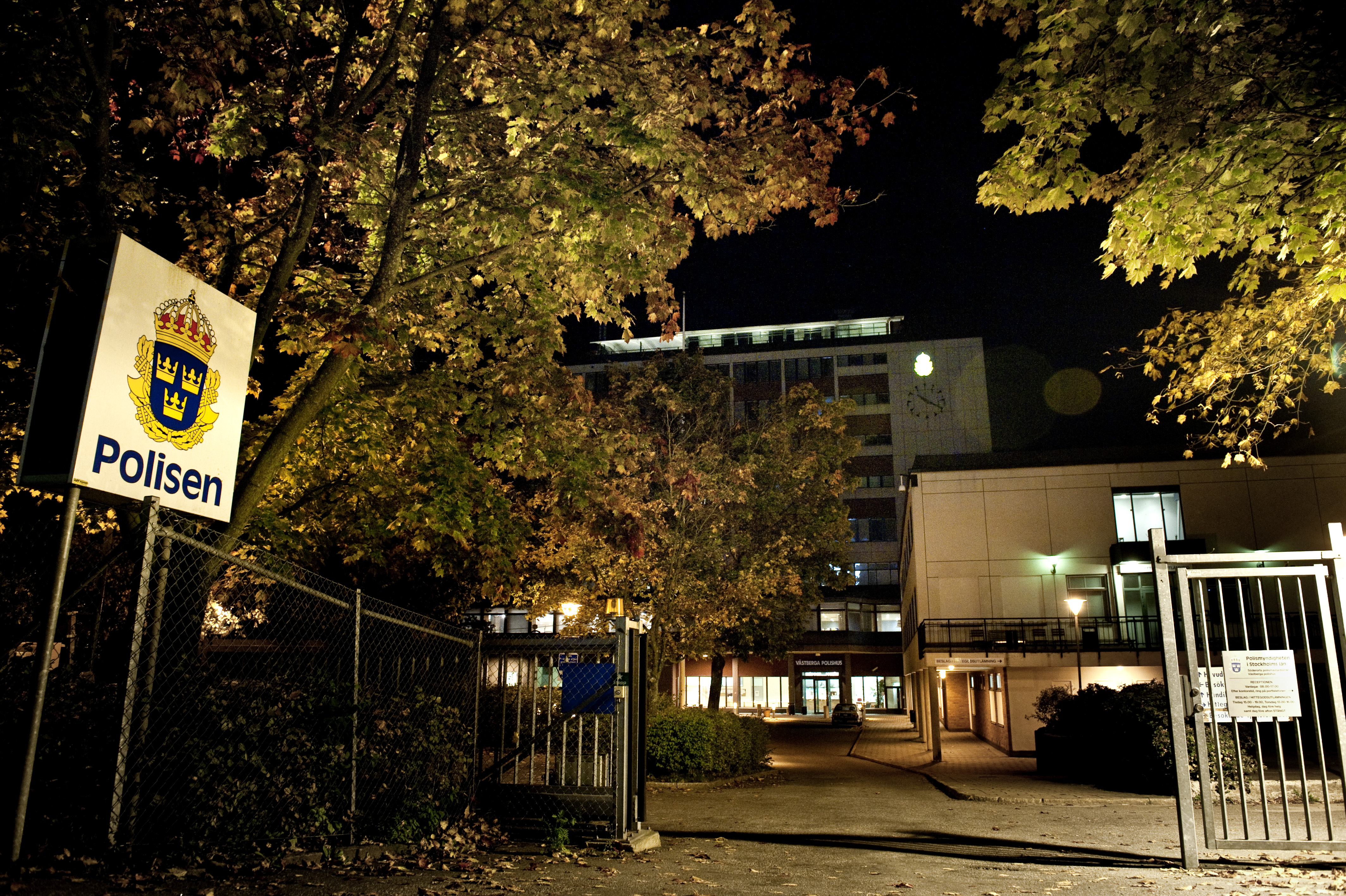 Attacker, Polisen, Stockholm, Parkering, Fiskmåsar, Fågel