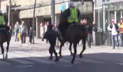 Demonstrationer, Polis, 1 maj, Svenskarnas parti, Polishäst