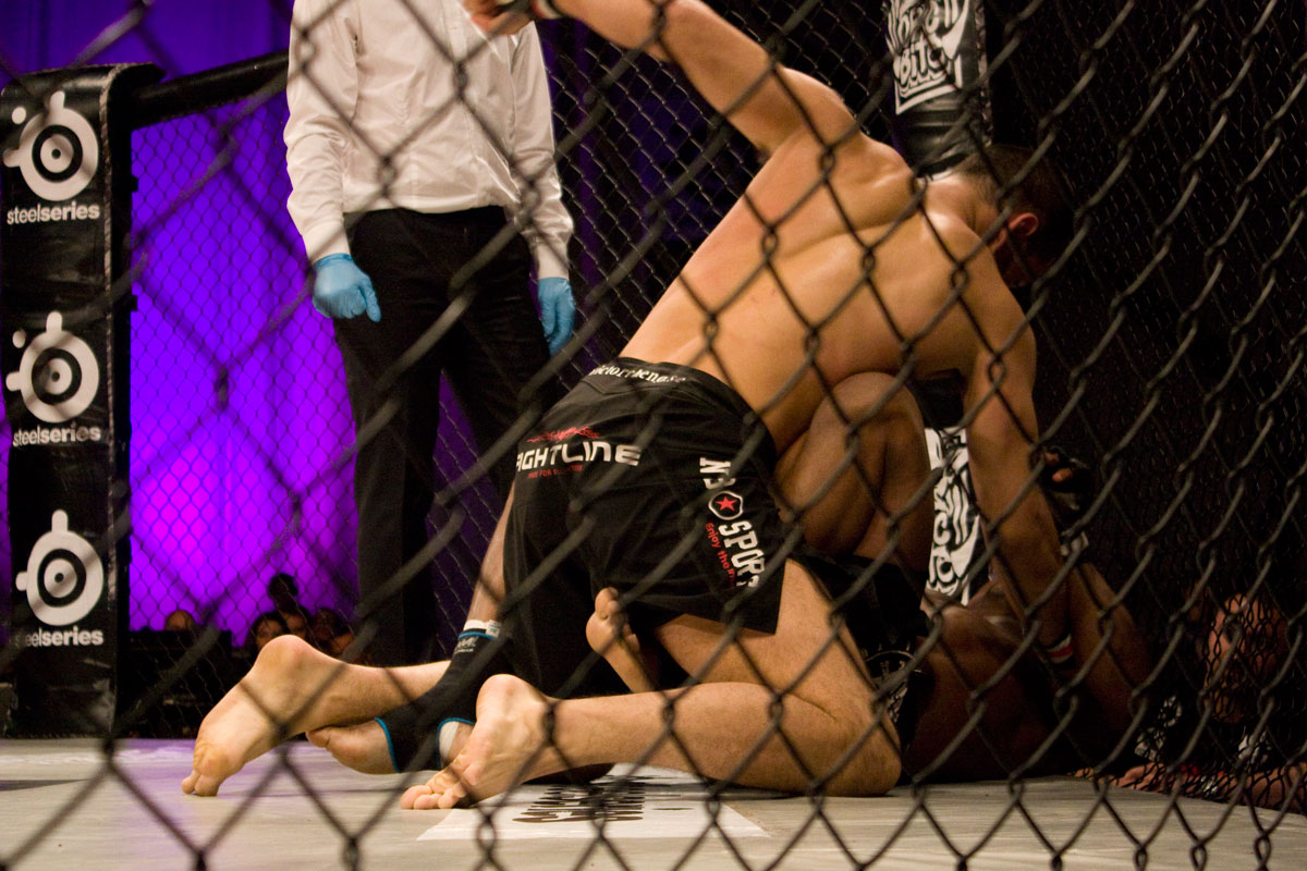 Victor Cheng, The Zone FC 9, MMA, Lisebergshallen, Martin Svensson, Paul Reed, Hanna Sillén, Eddy Bengtsson, Besam Yousef, Elina Nilsson, Goteborg