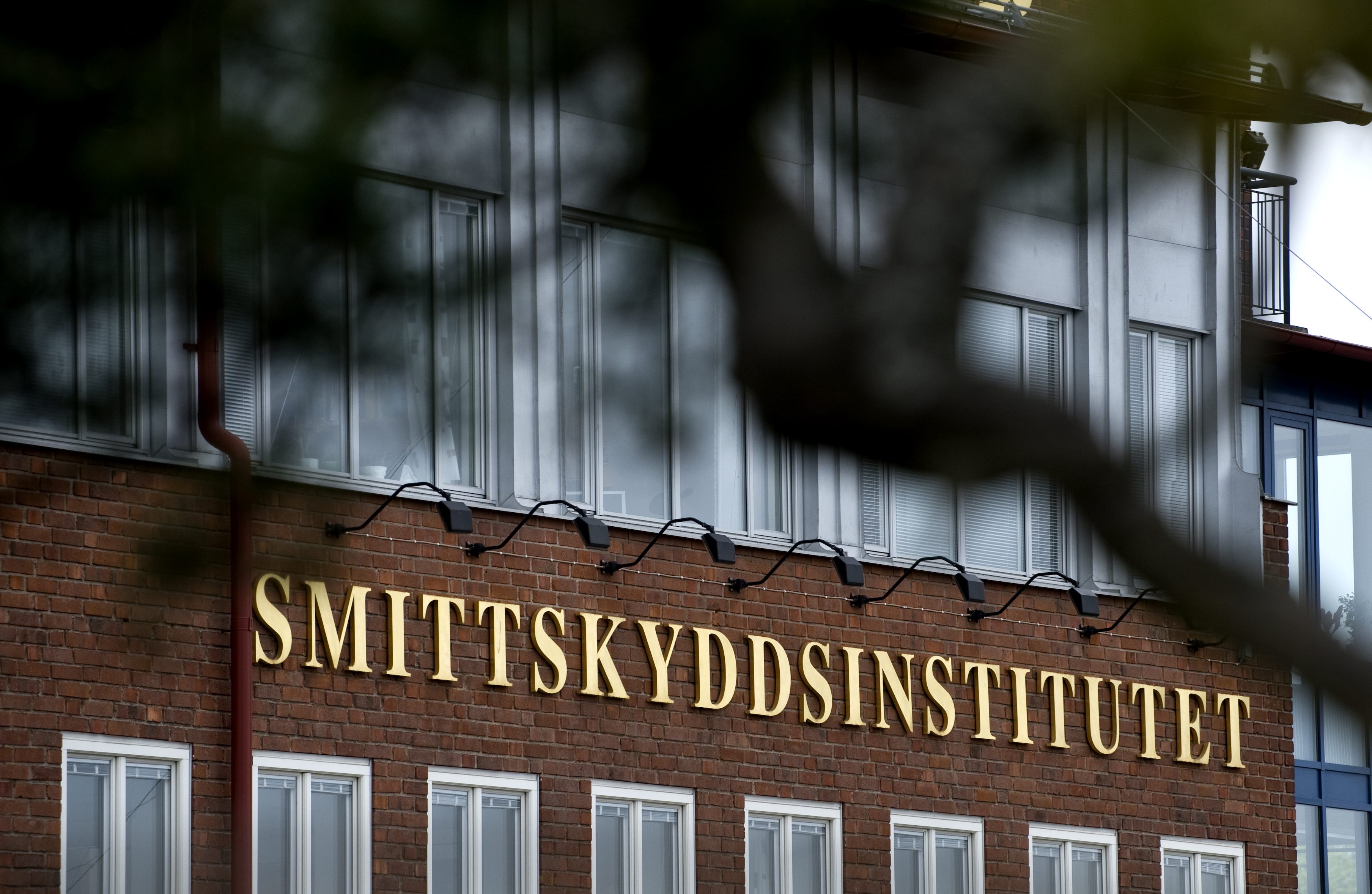 Vaccinet, Vaccin, H1N1, Svininfluensan