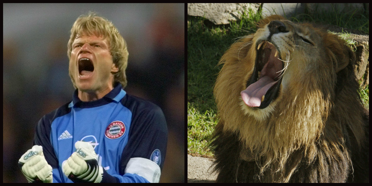 Look-a-likes, Djur, Fotbollsspelare, Dubbelgångare