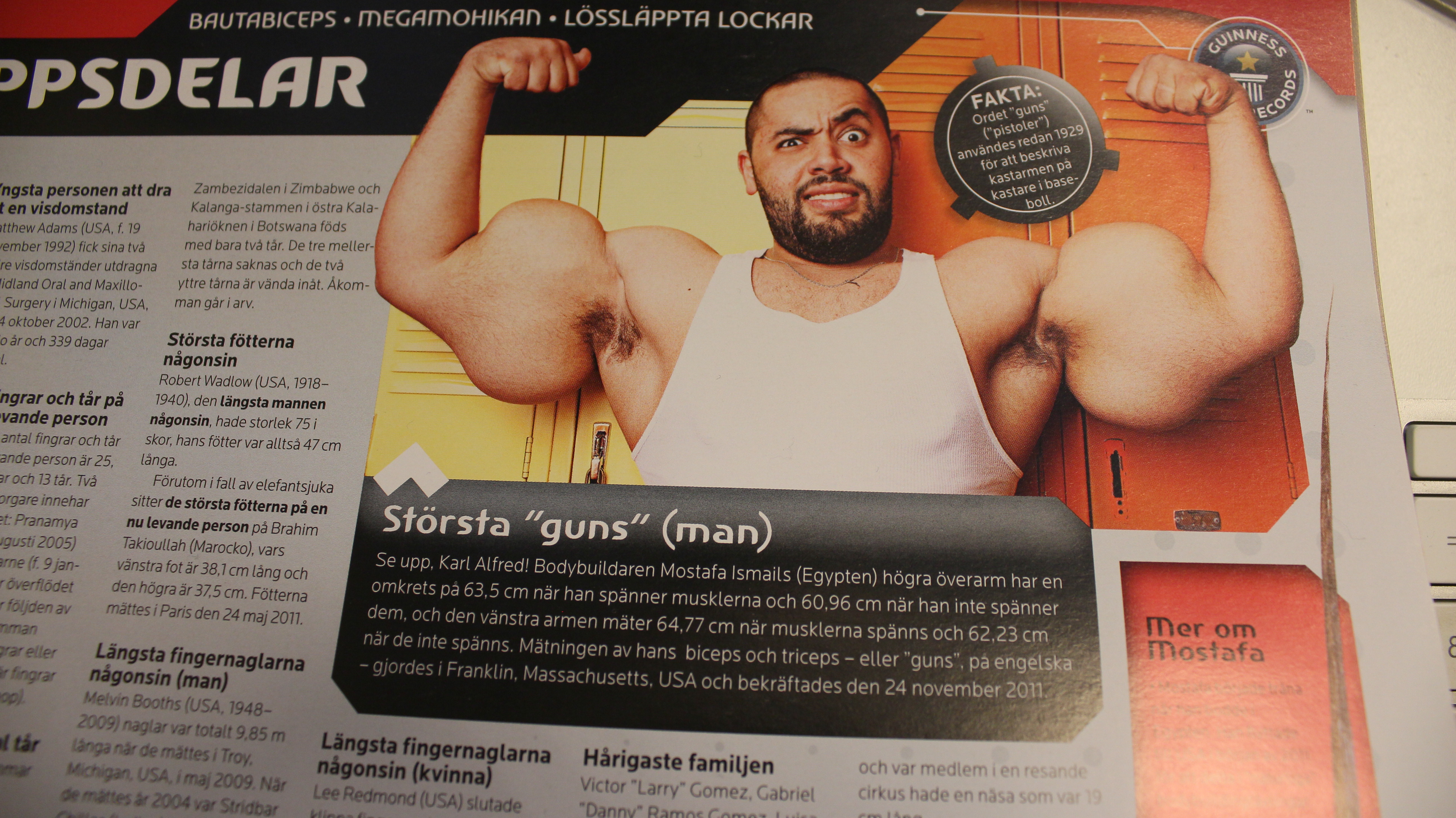 Bodybuilder, Moustafa Ismail,  Popeye,  Karl-Alfred