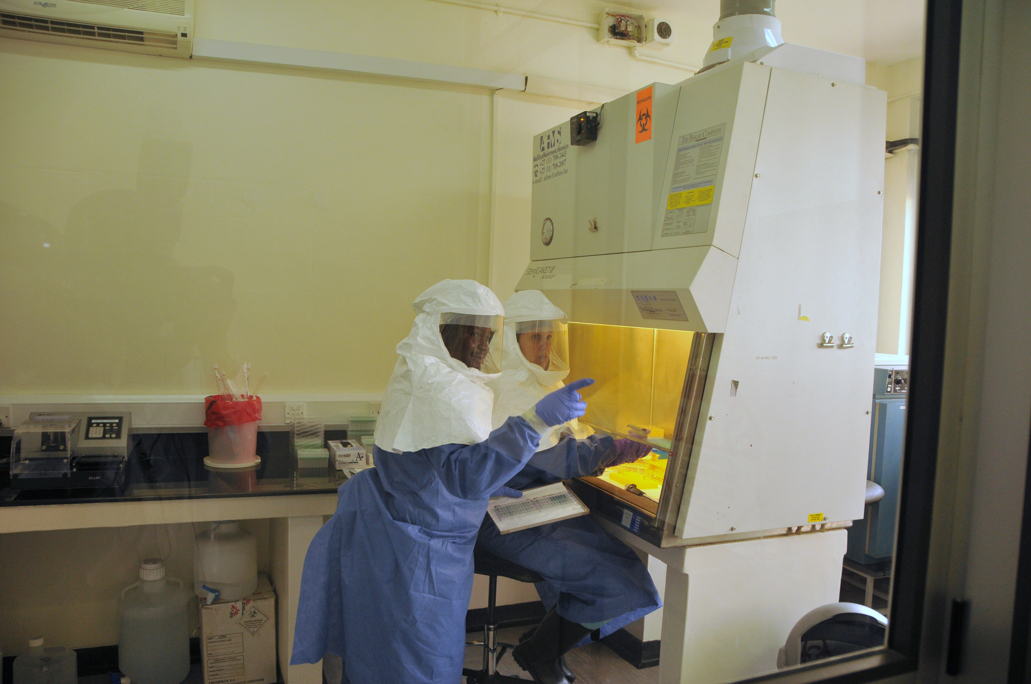 Virus, epidemi, Uganda, Ebola
