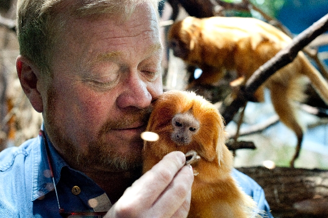 Zoo, Danmark, Tiger, Kopenhamn, Död, Attack