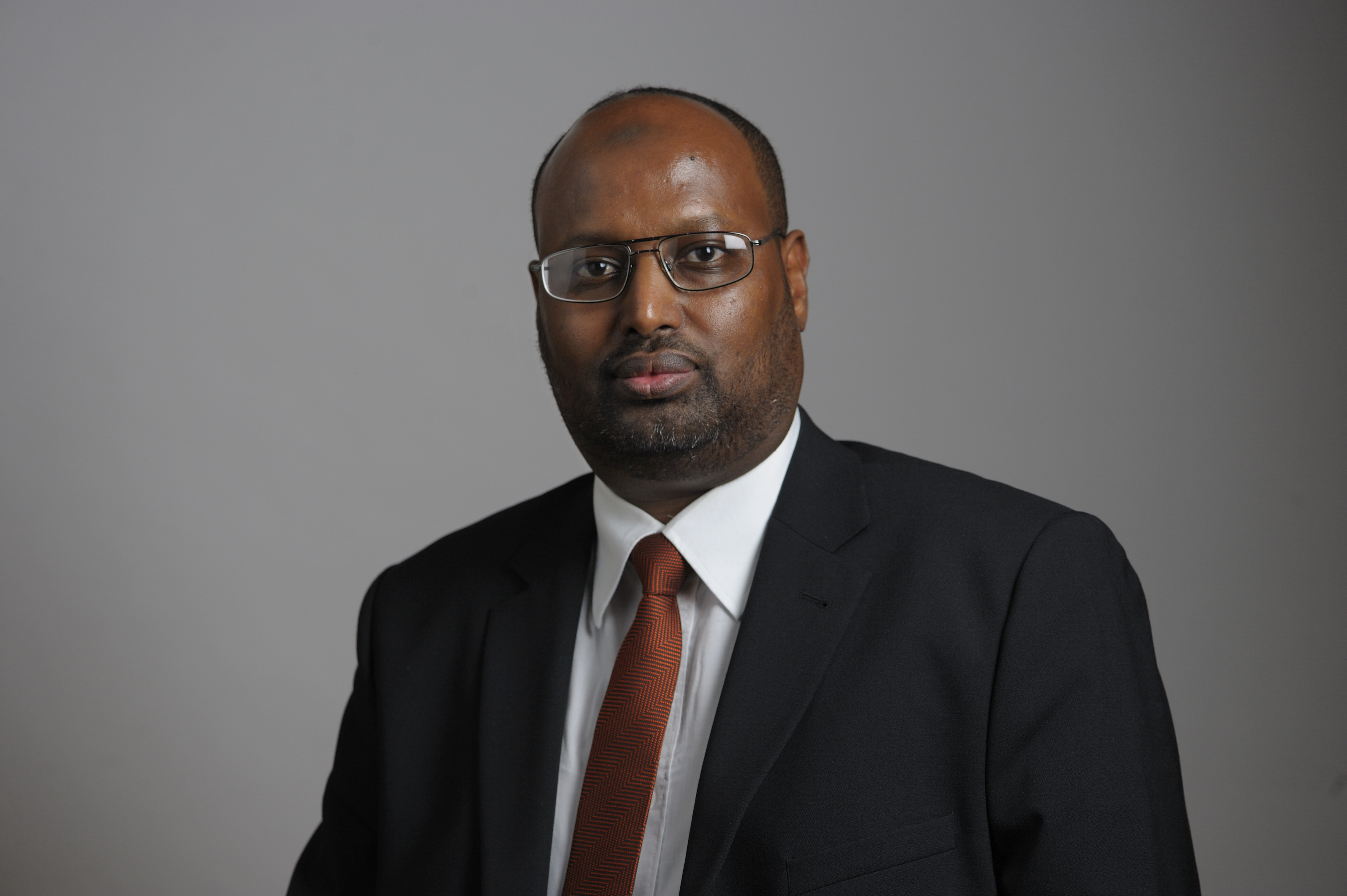  Abdirizak Waberi, Nationaldemokraterna, Muslimer, SD, Karl-Åke Schoultz, Sverigedemokraterna,  Utredas, Karlskoga