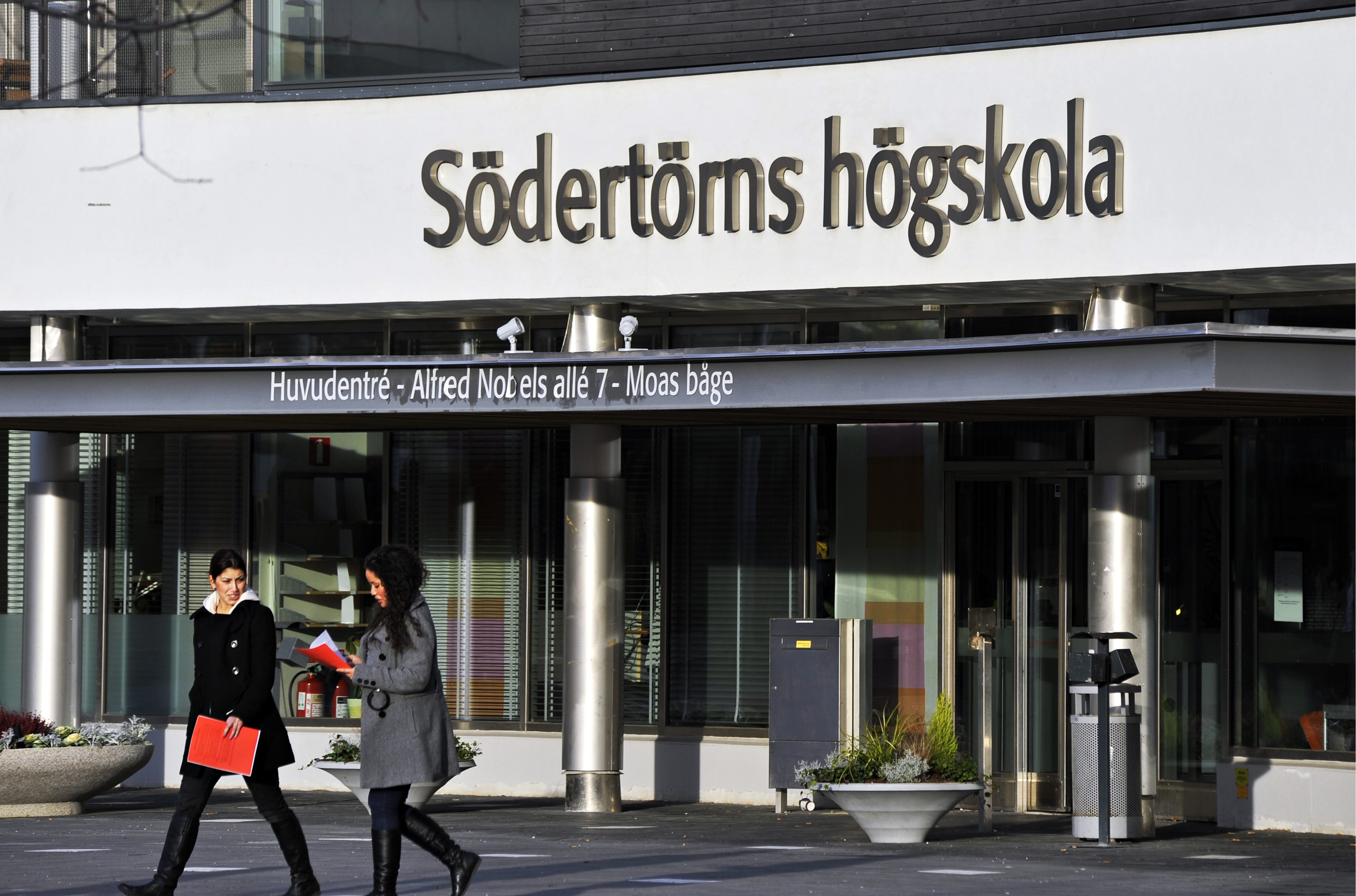 Student, Hogskola, Framtid, Studenter, Skola, Studier, Universitet, Utbildning, Antagning