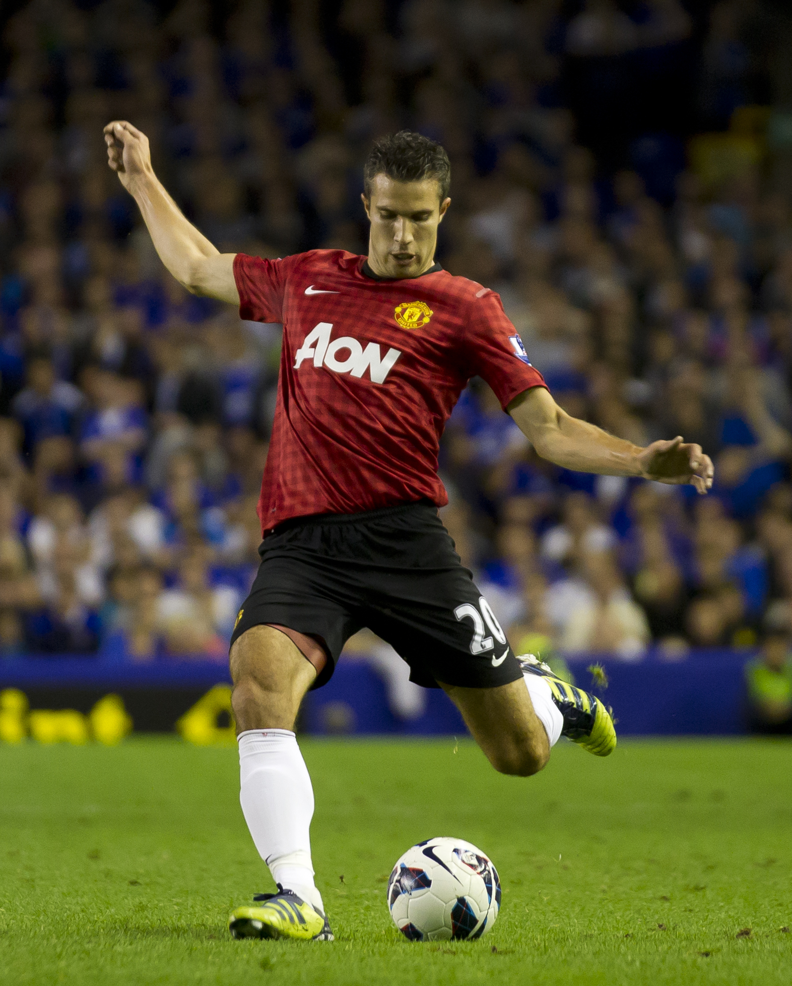 Sir Alex Ferguson, Premier League, Manchester United, Robin van Persie, Everton