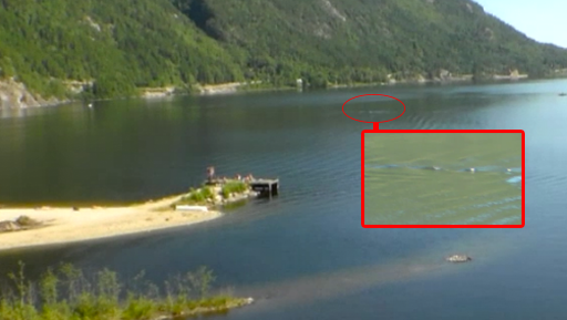 Norska porrstjärnor Norska porrstjärnor