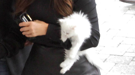  Choupette,  Mercy, Kanye West, Kim Kardashian