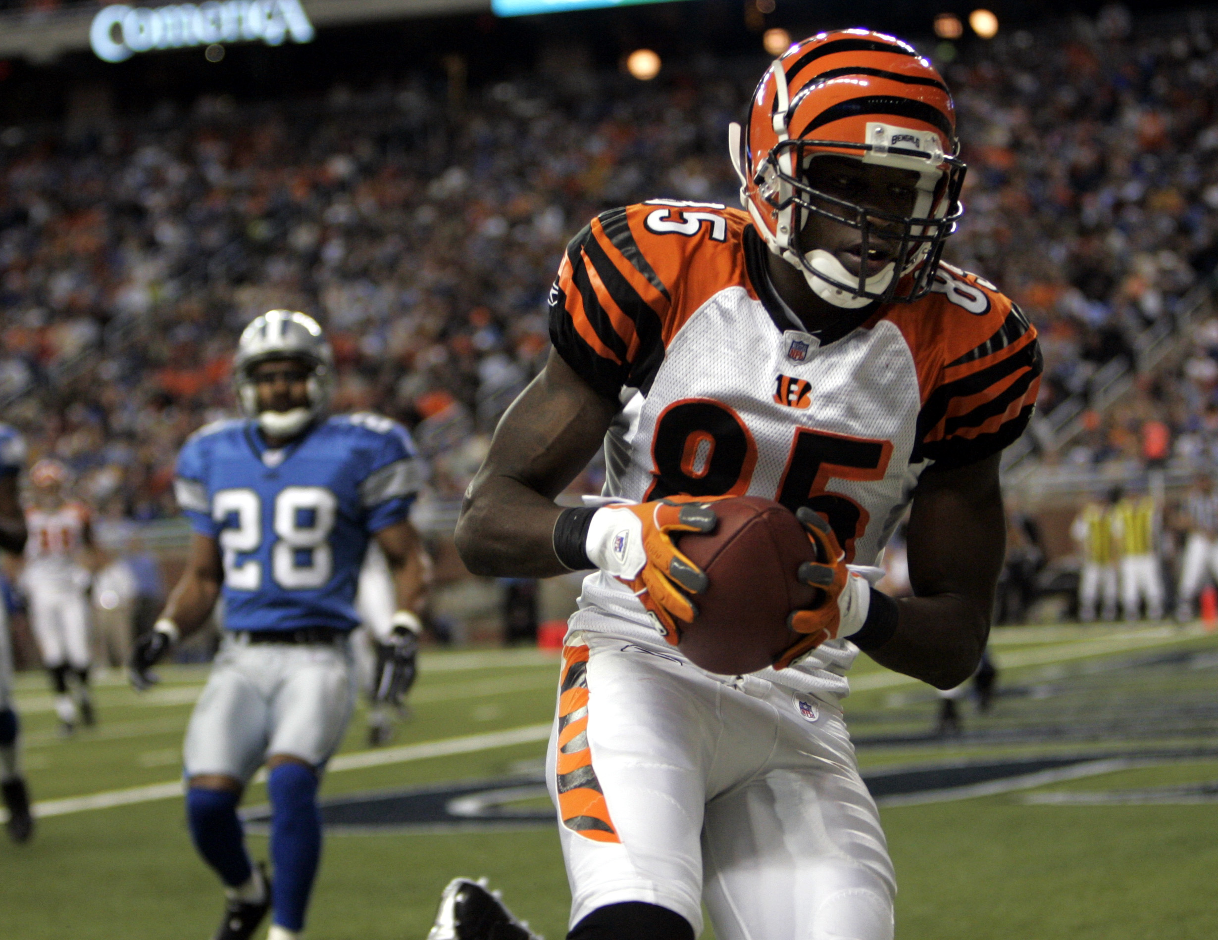 Chad Johnson, NFL-stjärna, Rättssal, Stjärtklapp
