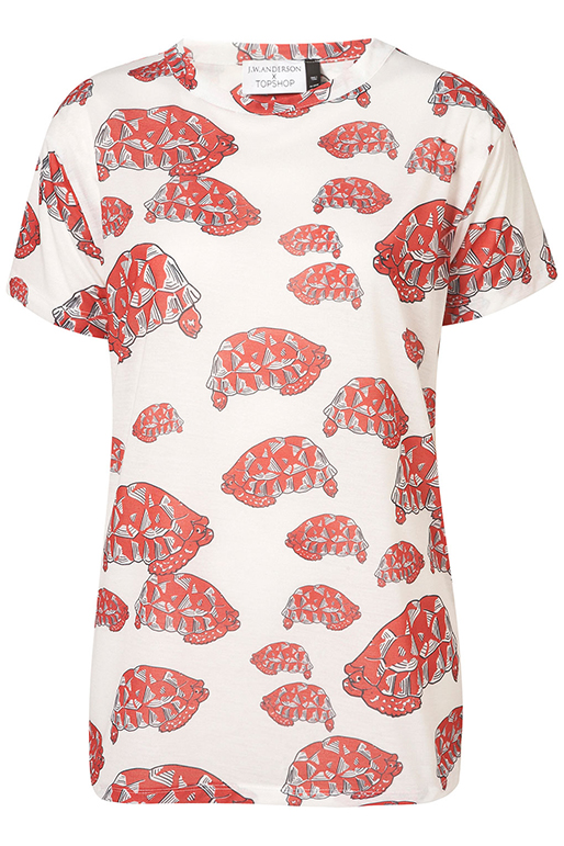 Topshop,  J.W. Anderson, Kollektion