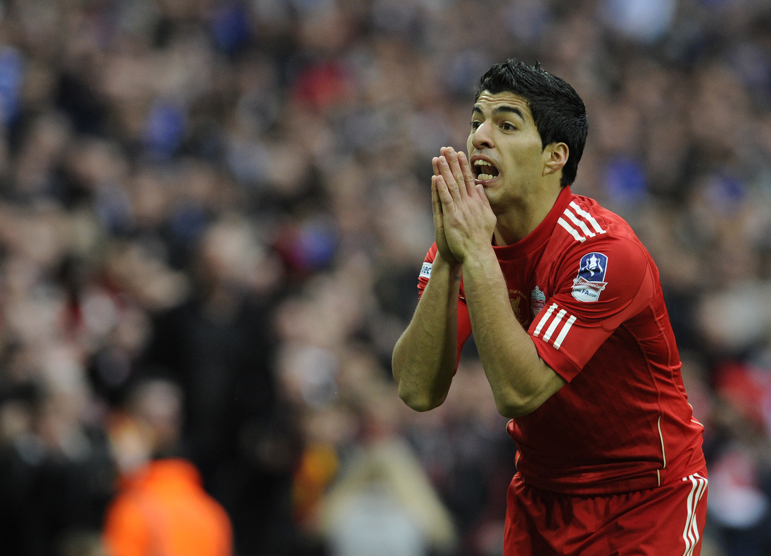 Liverpool, Daniel Pachecho, Glen Johnson, Negrito, Twitter, Luis Suarez, Premier League
