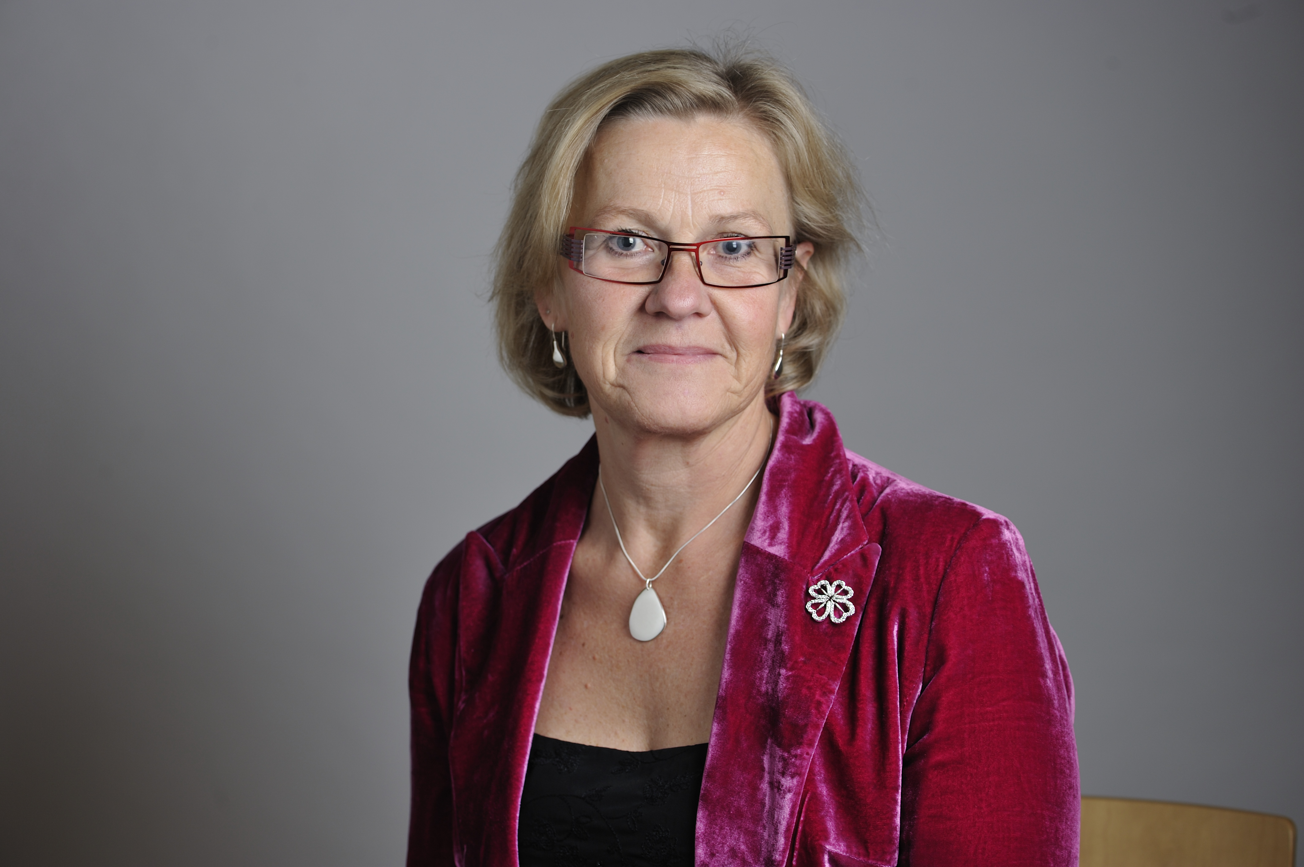 Riksdagen, Hela listan, Inkomst, Riksdagsledamöter, Folkpartiet