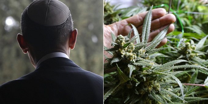 Cannabis, Marijuana, Rabbin